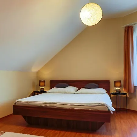 Apartment Fuzfa *